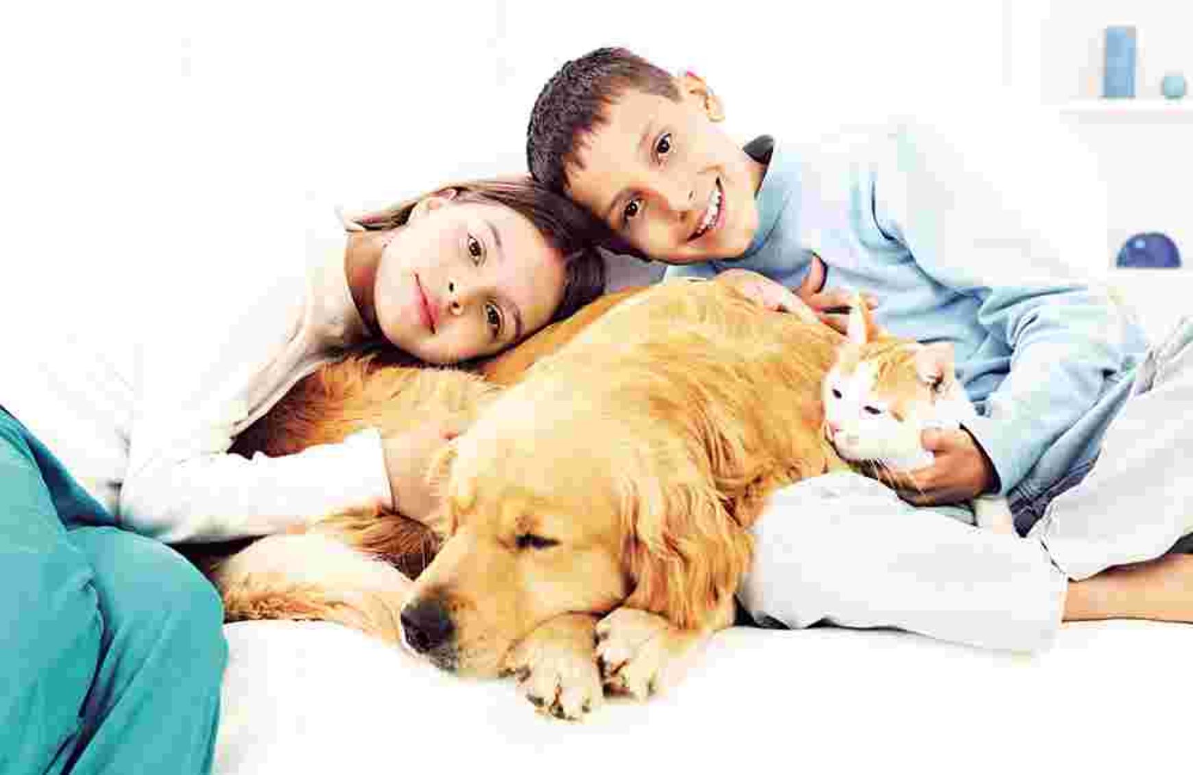 Can a Pet Get You Sick?