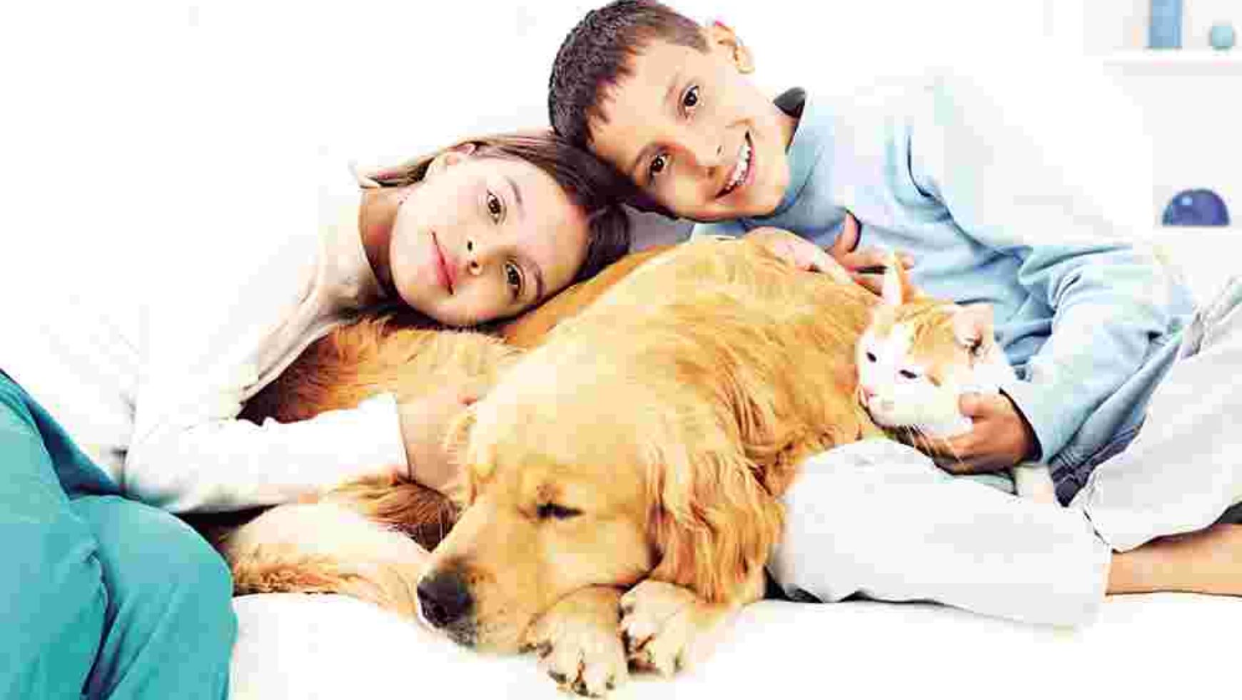 Can a Pet Get You Sick?